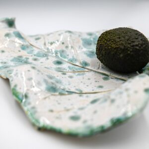 rabarbarowa laguna półmisek